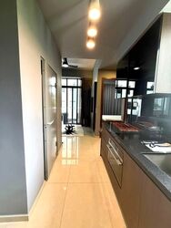City Suites (D12), Apartment #534813441